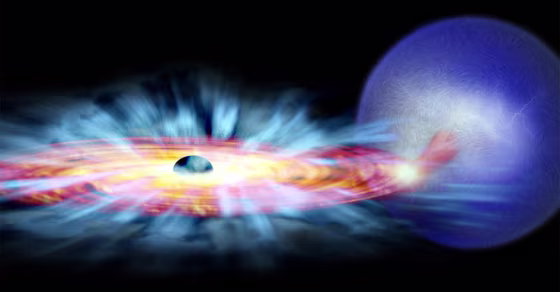 This is an artist's representation of GRO J1655-40, a binary star system observed in April 2005 by Chandra. This binary consists of a black hole and a normal star, shown in blue. Gas is being pulled away from the star to form a red disk spinning around the black hole. The black hole's magnetic field causes the disk to lose some of its angular momentum, allowing material to fall in.
