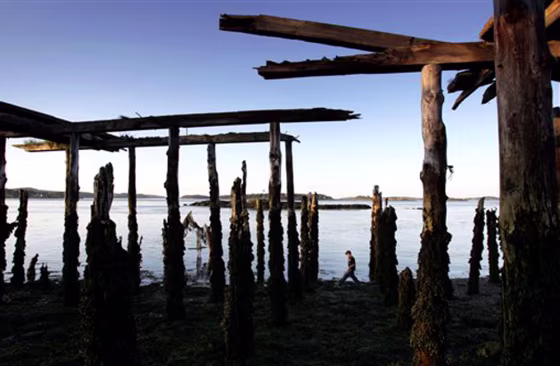 Tom Baker, 12, explores the shore under the pilings of a former sardine factory, on the Western Passage on Passamaquoddy Bay in Eastport, Maine. Researchers say the area's extreme tides make the waterway a prime location for placing turbines underwater to generate electricity. 