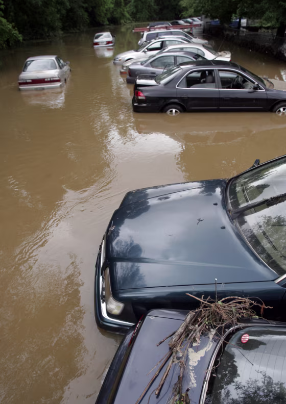 Many areas in Washington, D.C., were under water on Monday, including this row of cars near Meadowbrook Park.