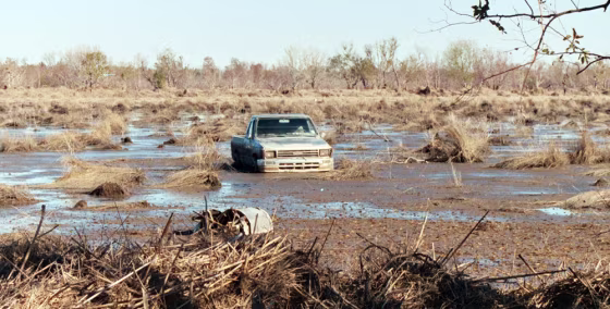 A pickup truck sits in a field of marsh debris&nbsp;in&nbsp; Louisiana's Chenier Plain after Hurricane Katrina.