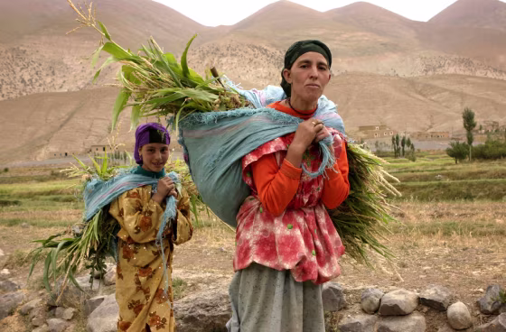 To match feature MOROCCO BERBERS