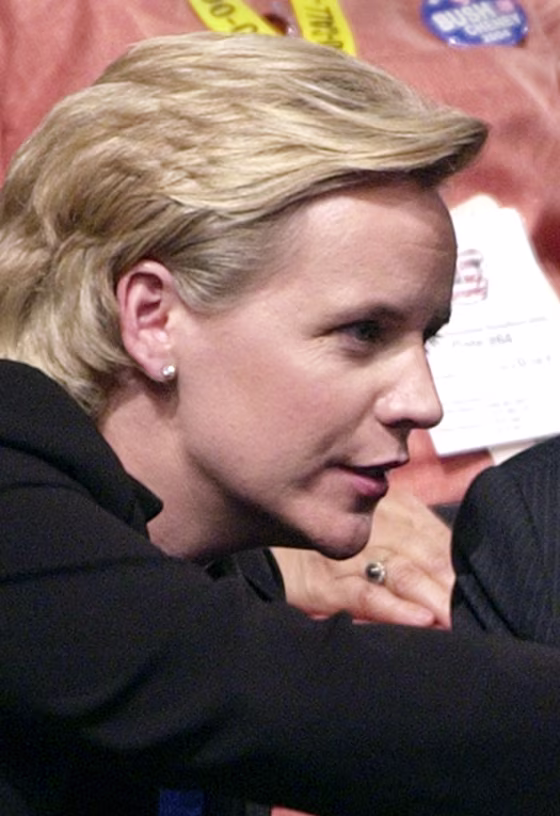 Mary Cheney, the vice president’s openly lesbian daughter, is expecting her first child.