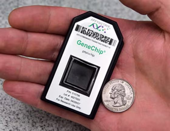 PhyloChip boasts a lot of analytical power in a small package.&nbsp;A DNA micro-array,&nbsp;it probes&nbsp;air samples for a gene involved in producing a protein that is found in all bacteria.