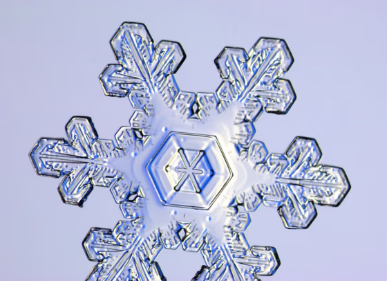 Snowflakes are created when snow crystals stick together, and some&nbsp;contain several hundred crystals. 