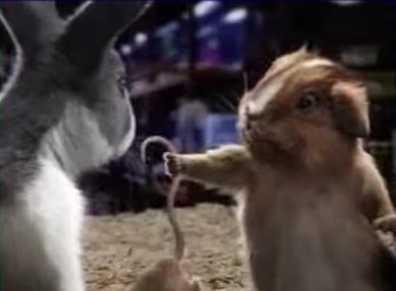 Blockbuster's "Mouse Click" ad featuring Carl the rabbit,&nbsp;Ray the guinea pig and a hapless, nameless mouse, was ranked No. 1 in MSNBC.com's reader survey.