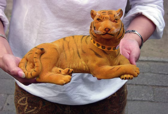 Traffic: Tigers, China