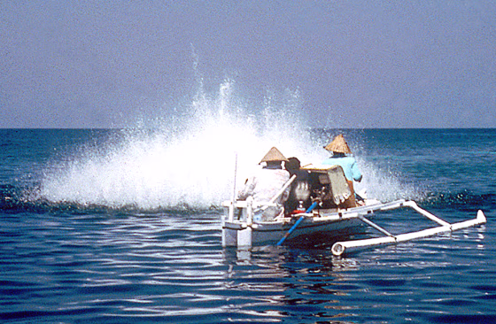 Indonesian fishermen are seen using dynamite to fish.