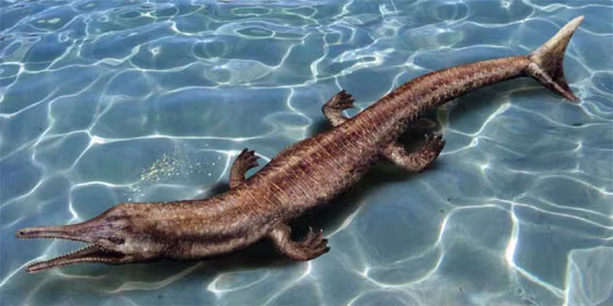 An artist's rendering shows how the fossilized remains of a Jurassic crocodile found in Oregon may have appeared in water.