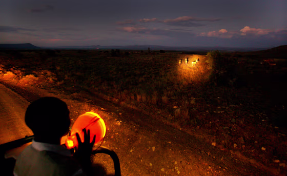 TRAVEL AFRICA NIGHTVIEWS ADV18
