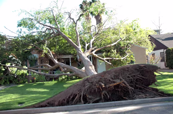 Tuesday's wild weather left nearly 185,000 powerless and caused damage to homes across the Los Angeles area, including this home in&nbsp;the San Fernando Valley.