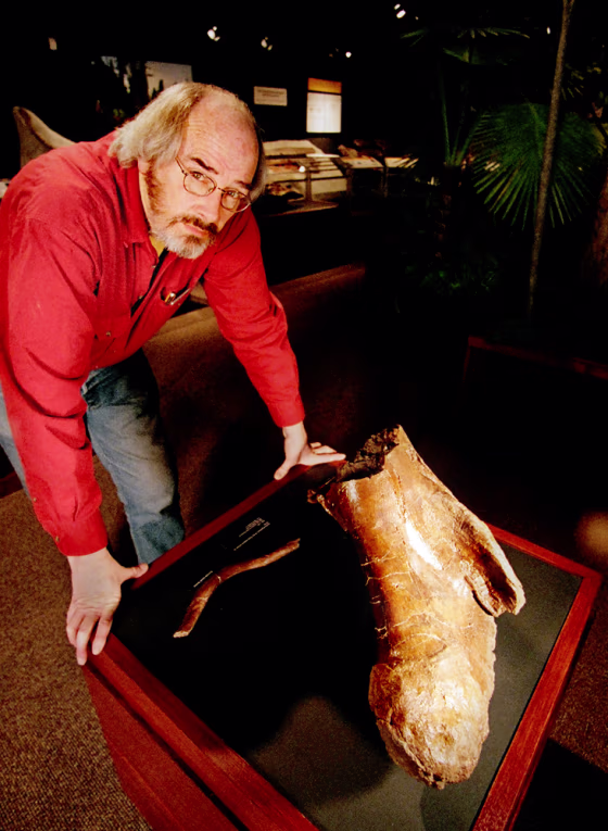 Paleontologist Jack Horner stands in front of a broken T. rex femur. Researchers say they have isolated collagen proteins found in the bone using cutting-edge techniques.