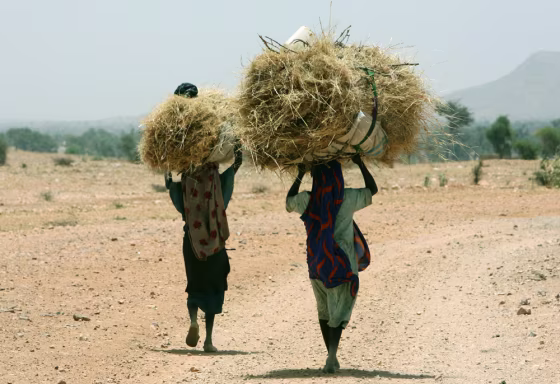 These women walking home on April 23 near Murnei, Sudan, reflect part of Darfur's environmental tragedy: the destruction of forest cover for firewood.