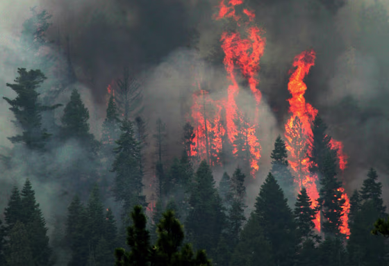 Firefighters Battle Blaze Near Lake Tahoe