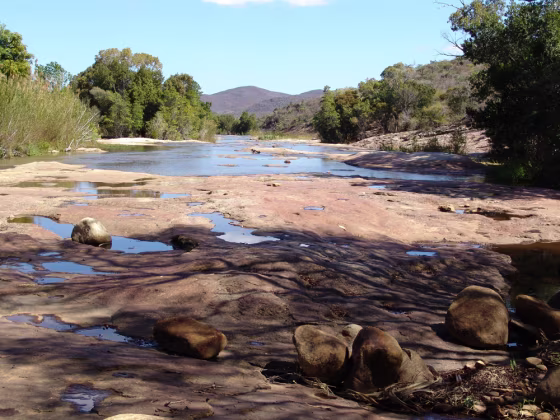 This view shows part of the Madagascar rain forest system added Wednesday to the U.N. World Heritage List.