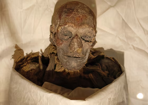 The mummified remains of Queen Hatshepsu