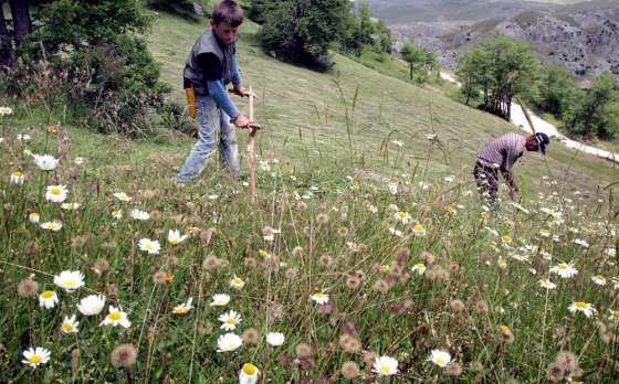 To match feature BOSNIA-TOURISM/