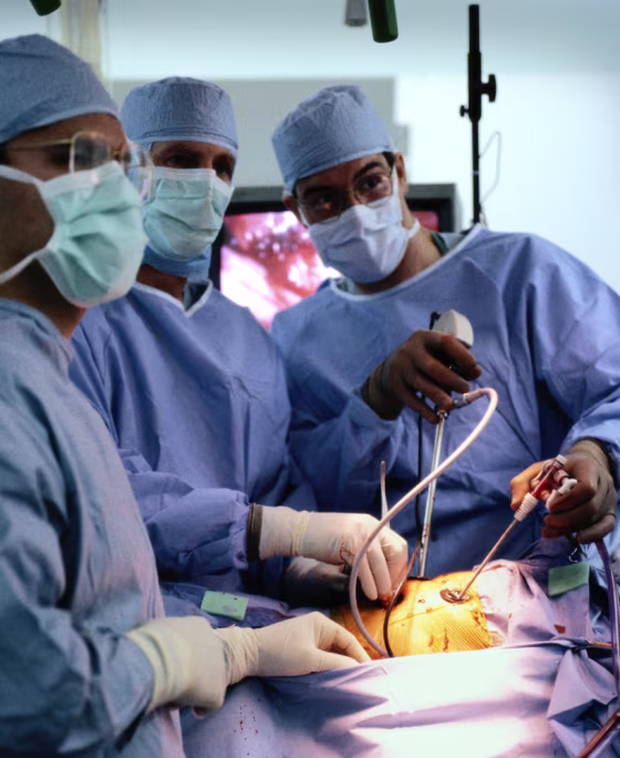 Despite the chorus of pleas for a far-reaching redesign of the health insurance system,&nbsp;only incremental changes are likely in the near future.