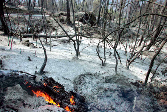 Wildfires in Greece