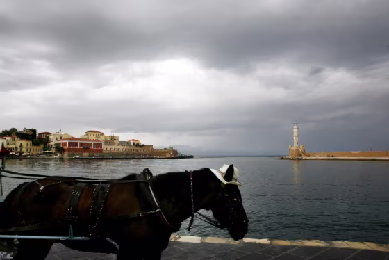 A carriage horse waits for tourists at t