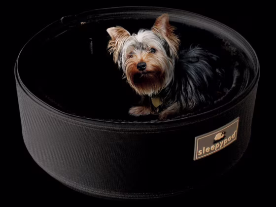 The SleepyPod carrier is a plush personal space for your dog or cat, with an adjustable top, nylon exterior and faux fur interior.
