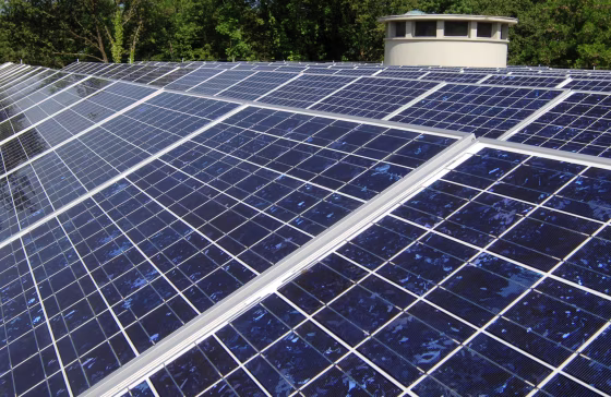 Rows of photovoltaic cells which make up