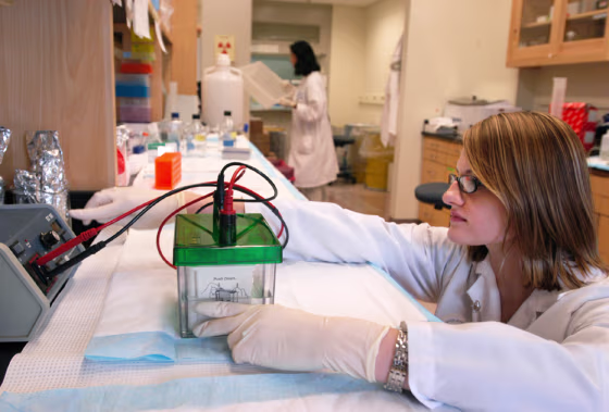 Senior laboratory technician Joanna Skokowski works on a gel designed to separate proteins by size for research use&nbsp;at the Cancer Institute of New Jersey, in New Brunswick, N.J., last month.&nbsp;While cancer research has made some notable breakthroughs recently, experts say there’s still a long road ahead in the battle to lower cancer death rates.