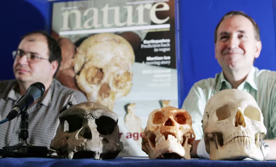 Henry Gee of Nature&nbsp;magazine and Professor Chris Stringer of London's Natural History Museum,&nbsp;discuss the findings at a news conference in London Wednesday. In front of them, from left, are a Homo erectus skull, a cast of&nbsp;the&nbsp;Homo floresiensis&nbsp;skull and&nbsp;a cast of a modern Homo sapiens skull.