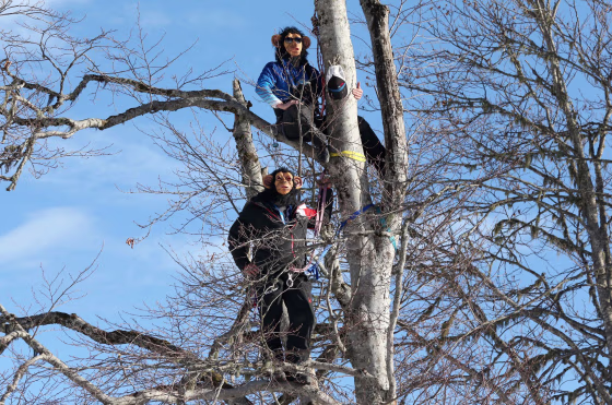 Image: Coaches from the U.S., top, and Canada wear chimpanzee masks