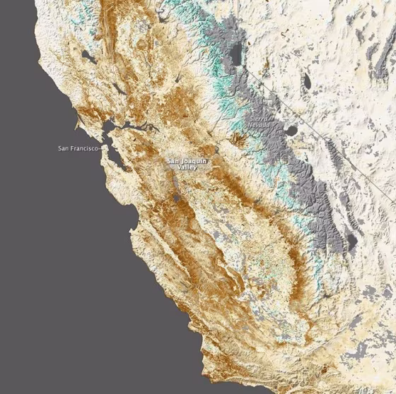 california drought crop