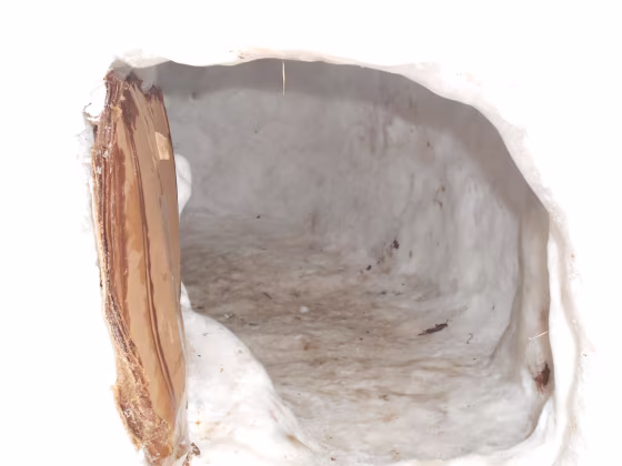 An igloo found on campus at the University of Utah, where students suspected of using it as a marijuana den were found