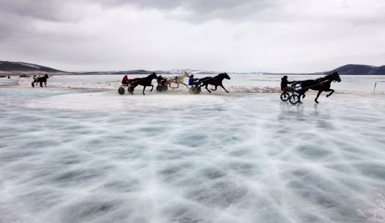 Image: Trotters compete in a harness race on the frozen Yenisei River during the 44th Ice Derby amateur horse race near the settlement of Novosyolovo