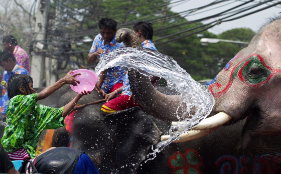 Image: A Thai girl splashes water at an elephant as people celebrate ahead of the Songkran Festival for the Thai New Year in Ayutthaya