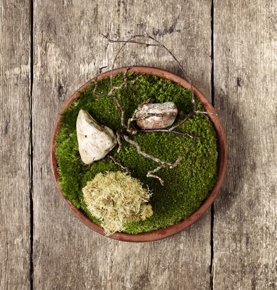 A dish served at Noma in Copenhagen, ranked number one on a list of the world's 50 best restaurants.
