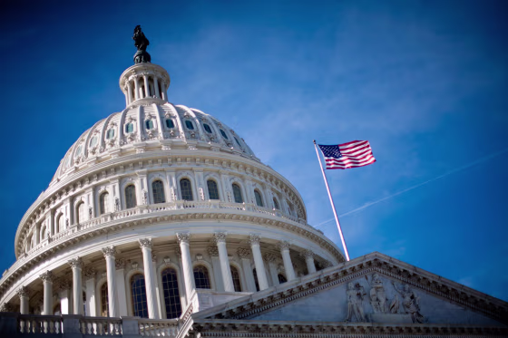 Image: The U.S. Capitol