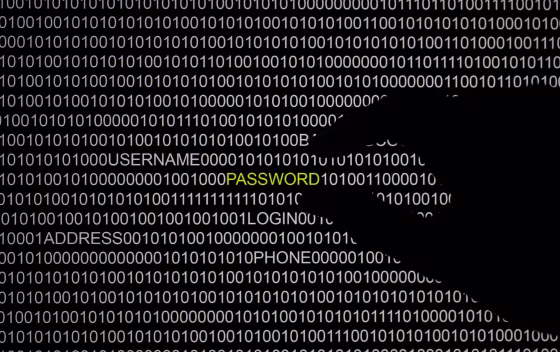 Image: The word 'password' is pictured on a computer screen