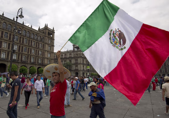 Image: FBL-WC-2014-MEX-FANS