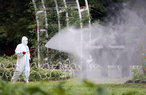 Image: A worker spraying insecticide at the Yoyogi park