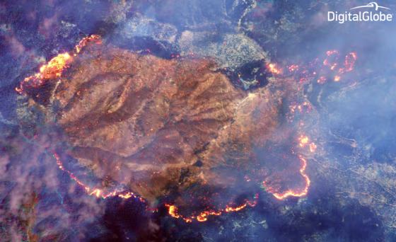Image: Happy Camp Complex fire
