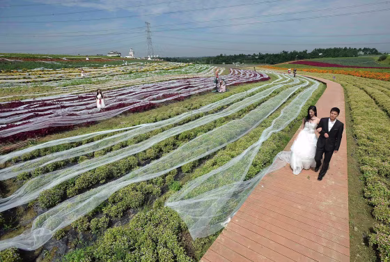 Promotional staff dressed as newly-weds walk along a path as they display a 4,100-meter-long wedding dress train during an event promoting a tourism valley near Chengdu, Sichuan province, Sept. 24, 2014. 