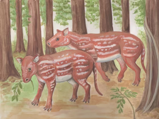 Image: Cambaytherium thewissi