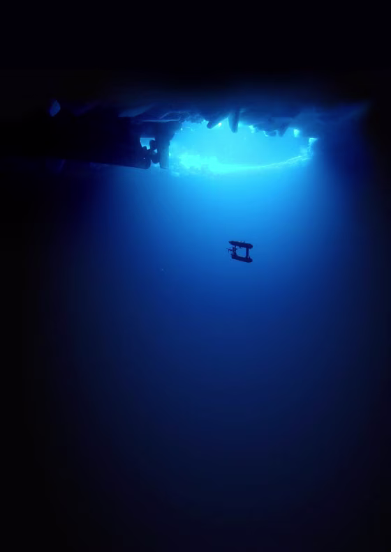 Image: The SeaBED underwater robot is seen under Antarctic sea ice