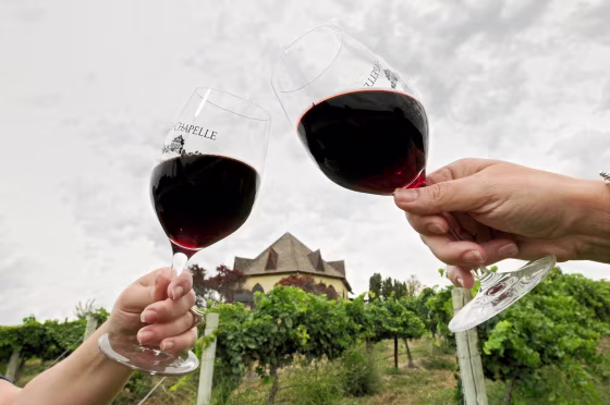 Image: wine