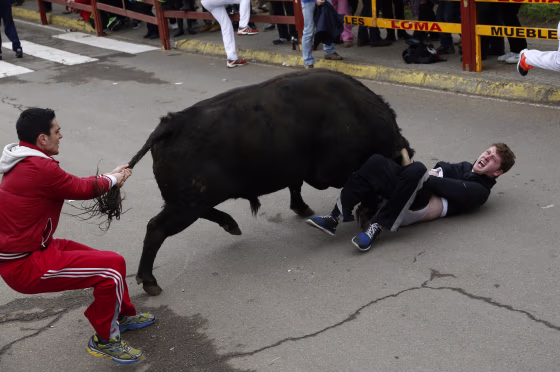 Image: Benjamin Miller gored by bull.