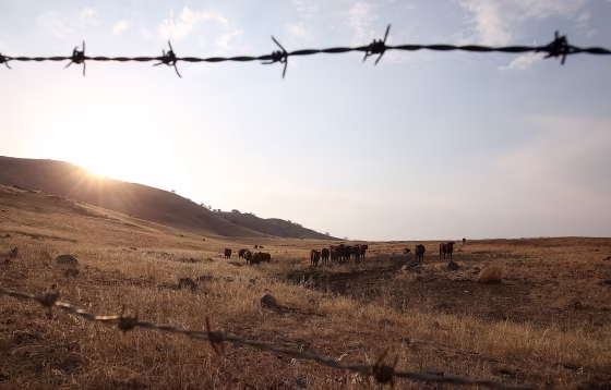 Image: California's Central Valley Heavily Impacted By Severe Drought