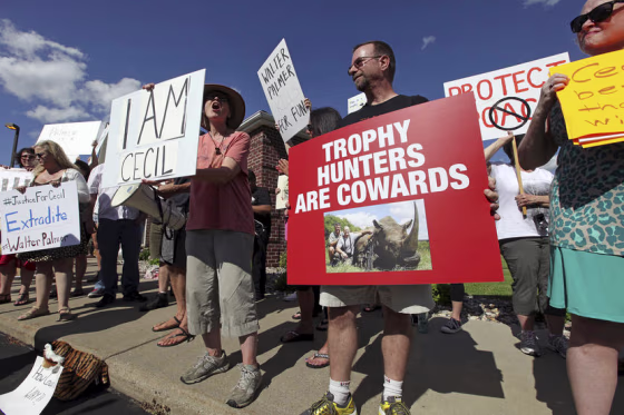 Protesters rally outside the River Bluff Dental clinic against the killing a famous lion in Zimbabwe, in Bloomington, Minnesota July 29, 2015. Wildlife officials on Tuesday accused American hunter Walter Palmer of killing Cecil, one of the oldest and most famous lions in Zimbabwe, without a permit after paying $50,000 to two people who lured the beast to its death. As of Tuesday, Palmer had temporarily closed his office, River Bluff Dental, in Bloomington, Minnesota, amid wishes for his death and widespread criticism of his hunting on social media and under business reviews on Google and Yelp.  REUTERS/Eric Miller - RTX1MC0W