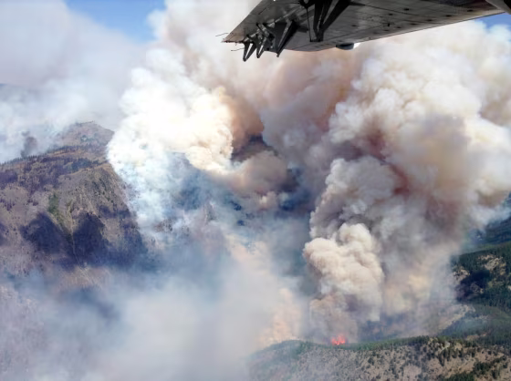 Image: Smoke rises from the TePee Springs fire in the Payette National Forest near Riggins, Idaho