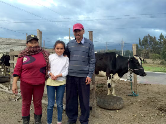 Image: Cotopaxi