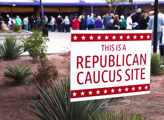 Image: Voters line up to vote