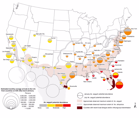 Image: Ae. aegypti potential abundance