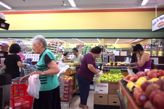 Image: grocery shopping - family spending
